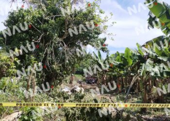 Fallece piloto en aeronave fumigadora en Suchiate