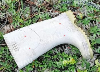 Le pasaron encima más de 10 carros