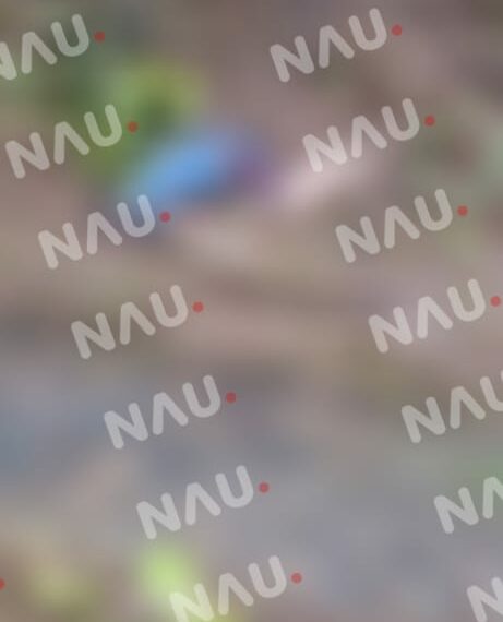 Muere indigente al caer a un barranco en la zona alta