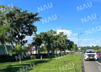 Muere un señor atropellado