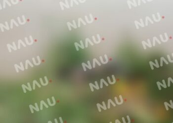 Mujer migrante muere ahogada en el río Suchiate