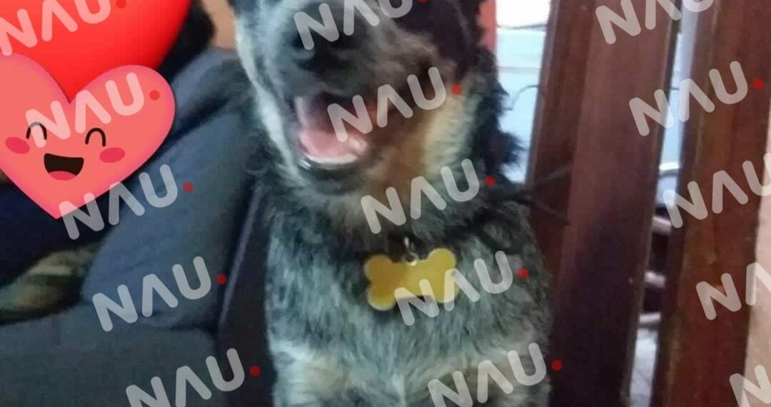 Que Dios los perdone