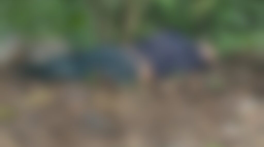 Lo asesinaron a balazos