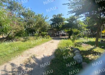 Sustraen a menor de tres años