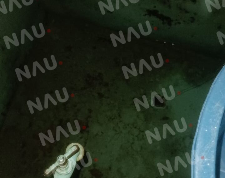 Desde hace 20 días fraccionamiento los Palacios no tiene agua