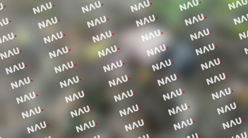 Abandonan el cuerpo de recién nacido