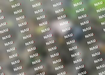 Abandonan el cuerpo de recién nacido