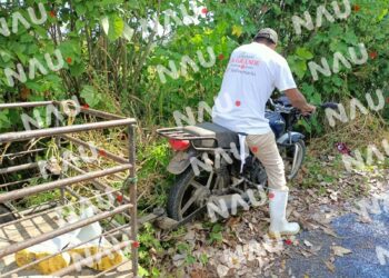 Accidente de motocicleta deja un lesionado