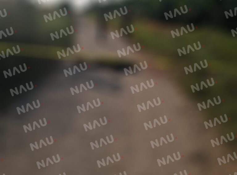 Asesinan a una persona sobre el camino de terracería a Santa Marta en Suchiate