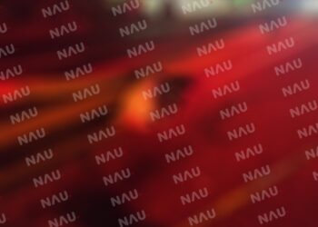 Muere mujer al ser atropellada en la carretera costera