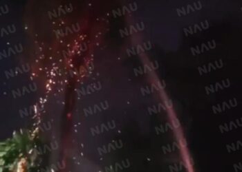 Se incendia palmera frente a Cobach