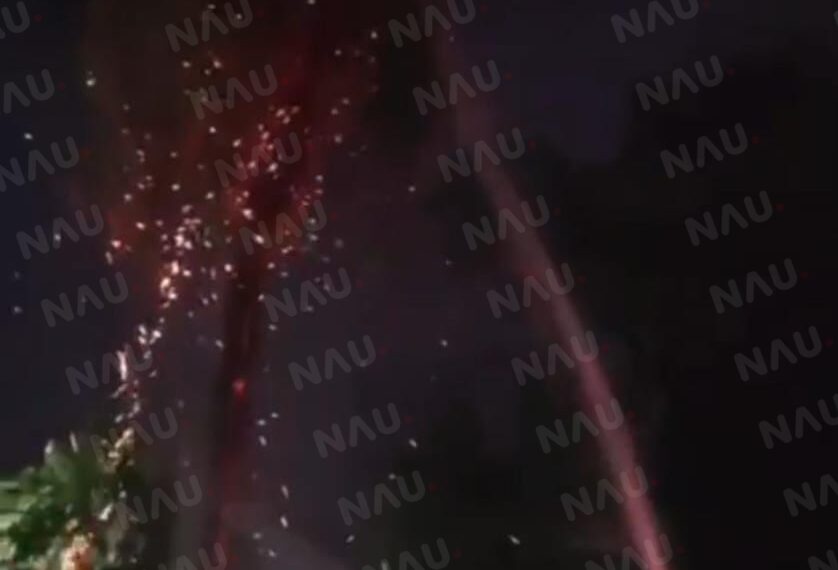 Se incendia palmera frente a Cobach