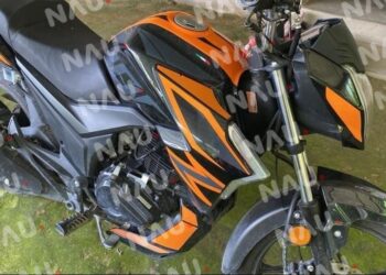 Roban un buey y una motocicleta