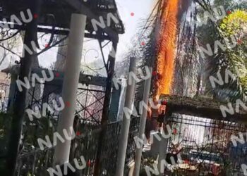 Se incendia palmera en el interior del panteón Jardín