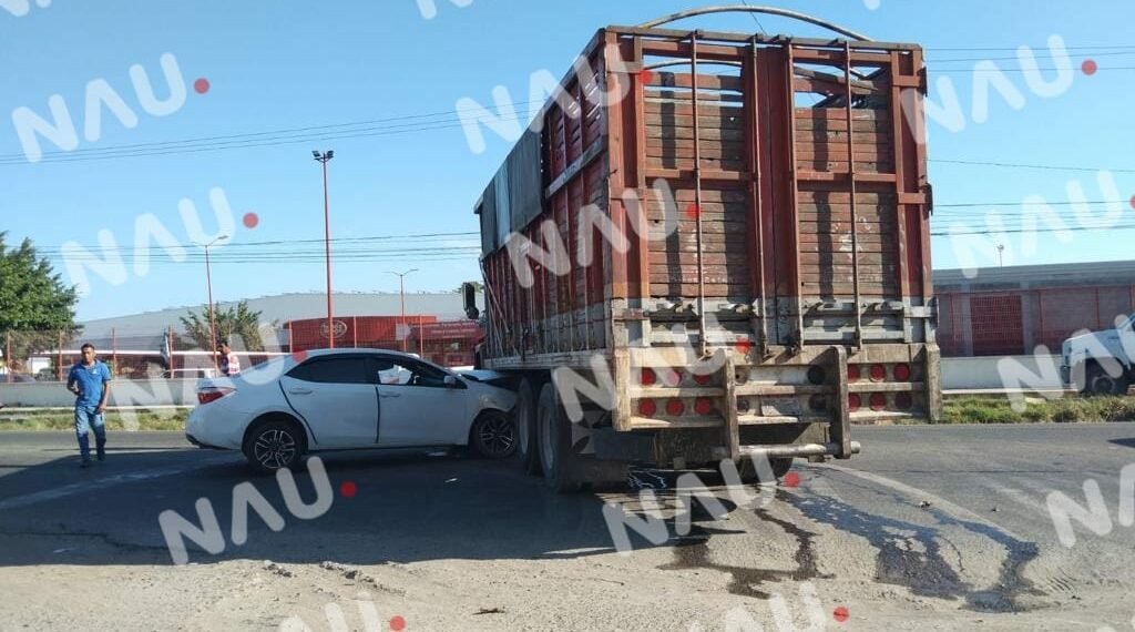 Se le atravesó a un automóvil compacto