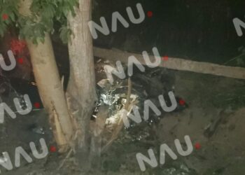 Se salió de la carretera y se estrelló contra un árbol