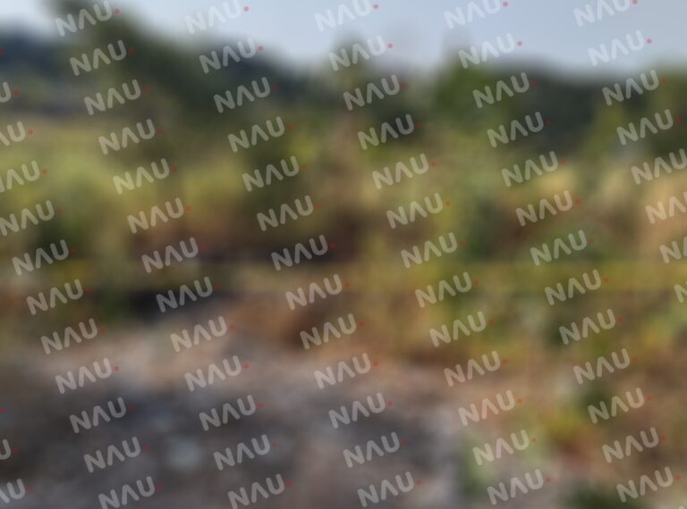 Indigente haitiano muere en la vía pública