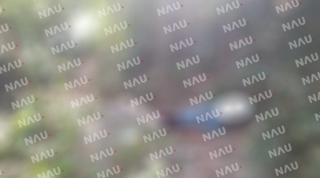 Le dieron 5 balazos y lo dejaron a la orilla del río Novillero