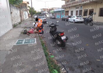 Lo atacó a un pitbull