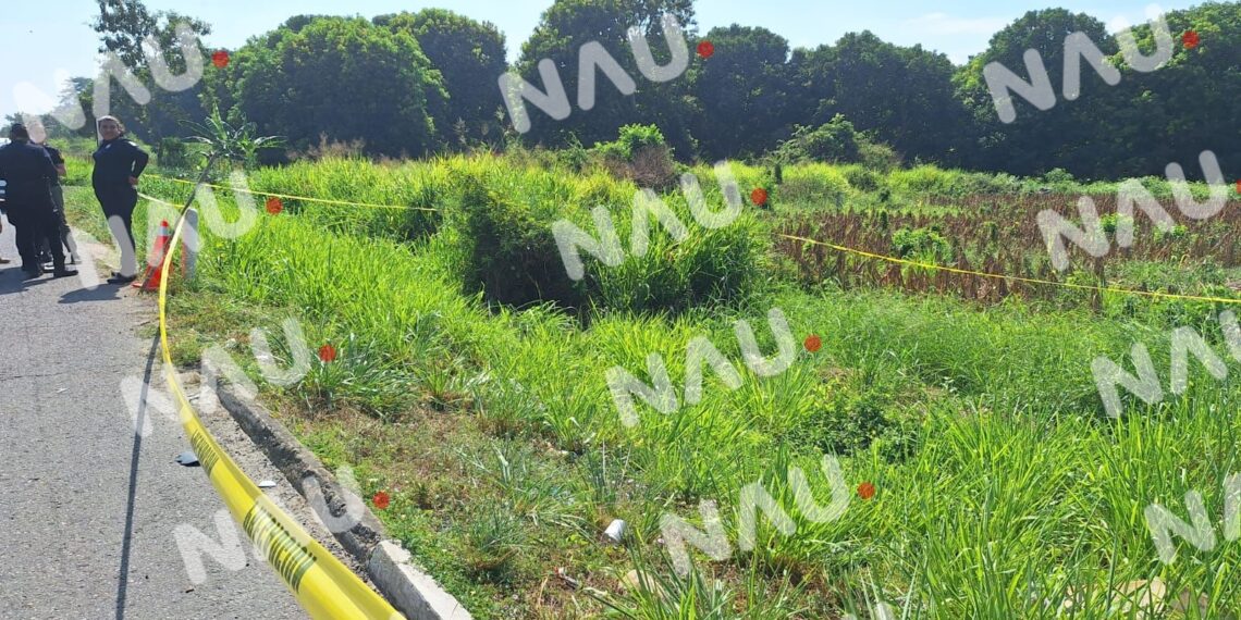 Vehículo identificado mata una persona en la carretera Tapachula