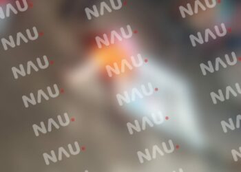 Cortaba mangos y se cayó de una altura de 4 metros