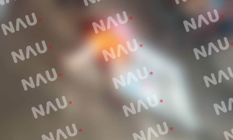 Cortaba mangos y se cayó de una altura de 4 metros