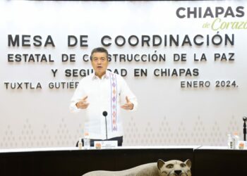 Los incendios forestales afectan las riquezas naturales de Chiapas; hay que evitarlos: Rutilio Escandón