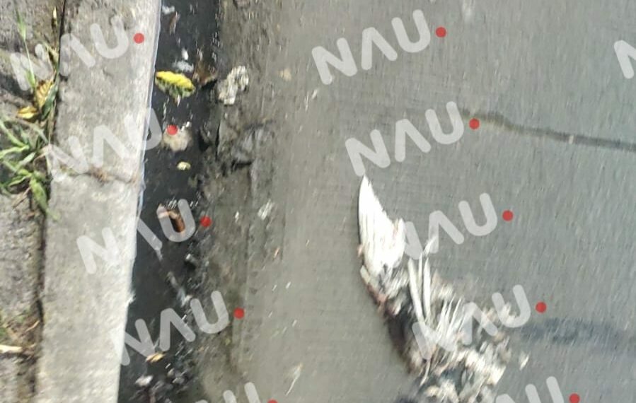 Muere en el hospital al no resistir las lesiones