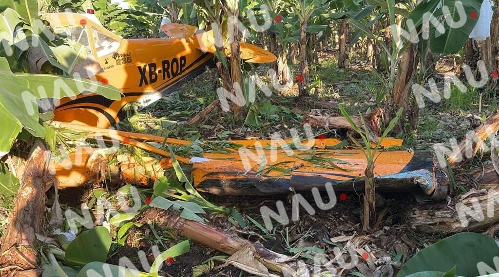 Se desploma avioneta fumigadora en un rancho en Frontera Hidalgo