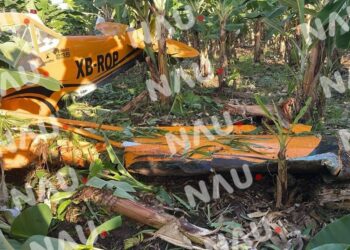 Se desploma avioneta fumigadora en un rancho en Frontera Hidalgo