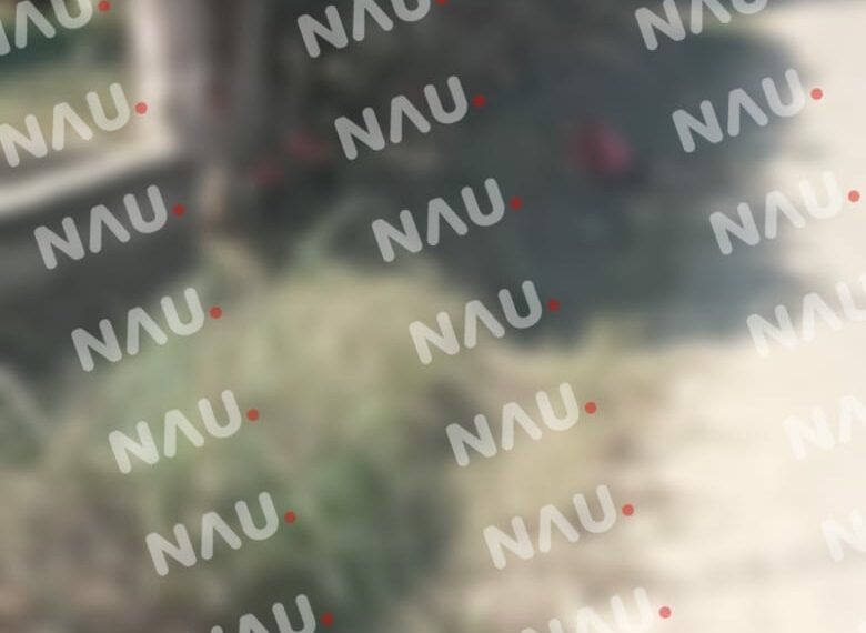 Matan a presunto pollero y a su esposa en enfrentamiento