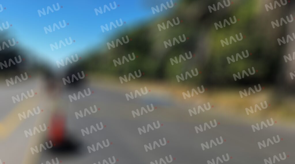 Trágico Incidente en la Carretera Tapachula – Puerto Madero