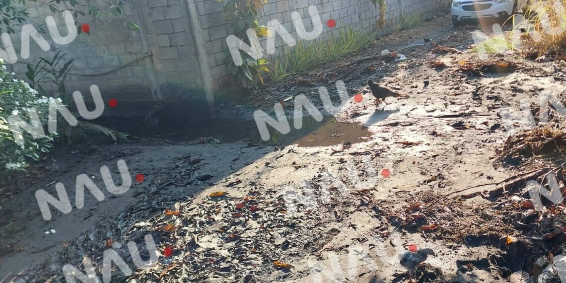 “Vídeo” Daños causados por canal de riego en propiedad privada pone en riesgo la salud de una persona