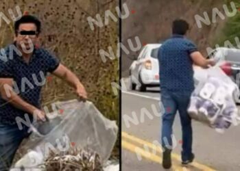 Funcionario de Pijijiapan captado realizando actos de saqueo en el lugar de un accidente de tráiler