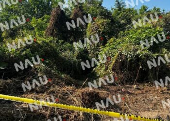 “Vídeo” Encuentran cadáver en carretera hacia Mazatán