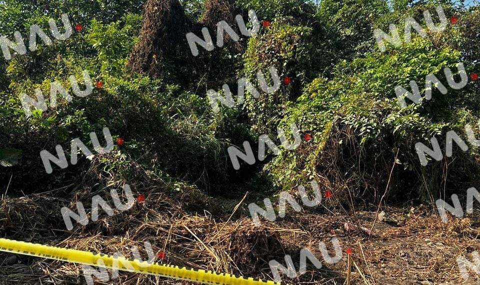 “Vídeo” Encuentran cadáver en carretera hacia Mazatán