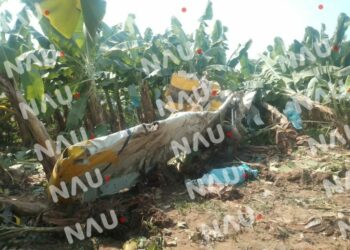 Esta imagen tiene un atributo ALT vacío; su nombre de archivo es Avioneta-fumigadora-cae-en-rancho-San-Isidro-en-Mazatan-Chiapas-2-1024x768.jpeg