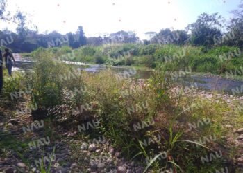 Trágico hallazgo en Tapachula, Chiapas: Encuentran osamenta de joven desaparecido desde hace seis meses