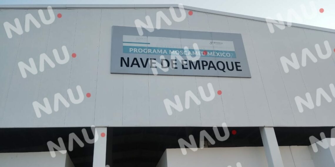 IICA en riesgo de bajo rendimiento y malestar social por problemas laborales.