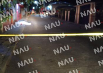 Matan al gato en Tuzantán