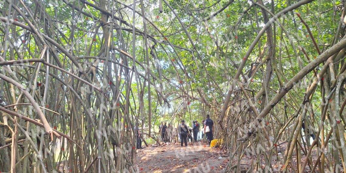 Encuentran cuerpo sin vida en Brisas del Mar, Municipio de Suchiate