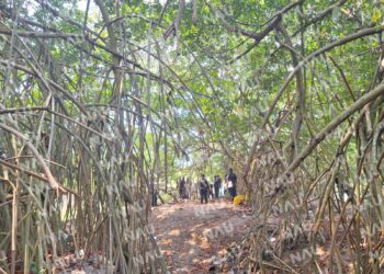 Encuentran cuerpo sin vida en Brisas del Mar, Municipio de Suchiate