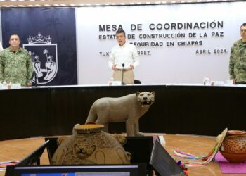 Llaman a sumarse al cuidado de la biodiversidad de Chiapas, evitando los incendios forestales
