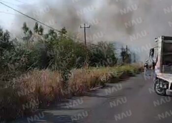 Incendio en Tapachula consume más de 3 hectáreas de pastizal