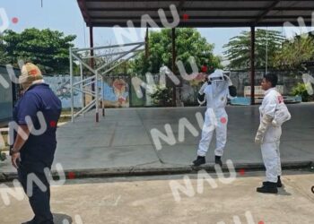 30 Niños Sufren Picaduras de Abeja en Escuela de Chiapas