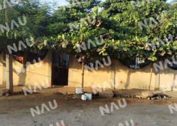 Encuentran cuerpo sin vida en ejido La Libertad, Chiapas