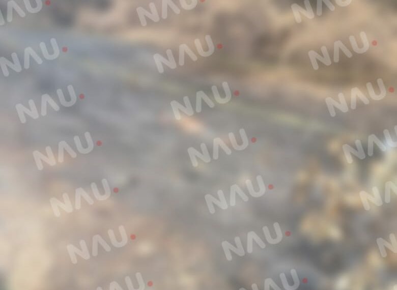 Encuentran cuerpo sin vida en el ejido Benito Juárez Cosalapa en Suchiate