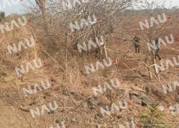 Hombre de 56 años fallece tras ser atropellado