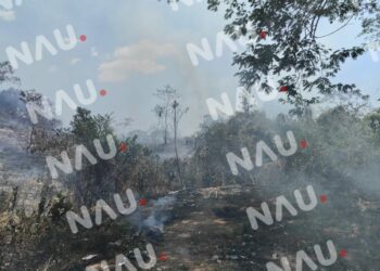 Incendio en la Colonia Lomas de Chiapas causa preocupación entre los residentes