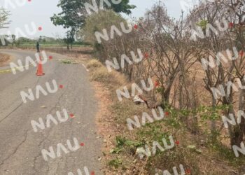 Torturado y asesinado en la carretera de Suchiate